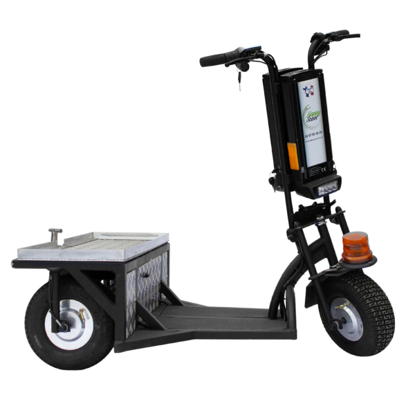 Transporteur électrique personnalisable, 3 roues PRO 2RM, ROLL AND GO