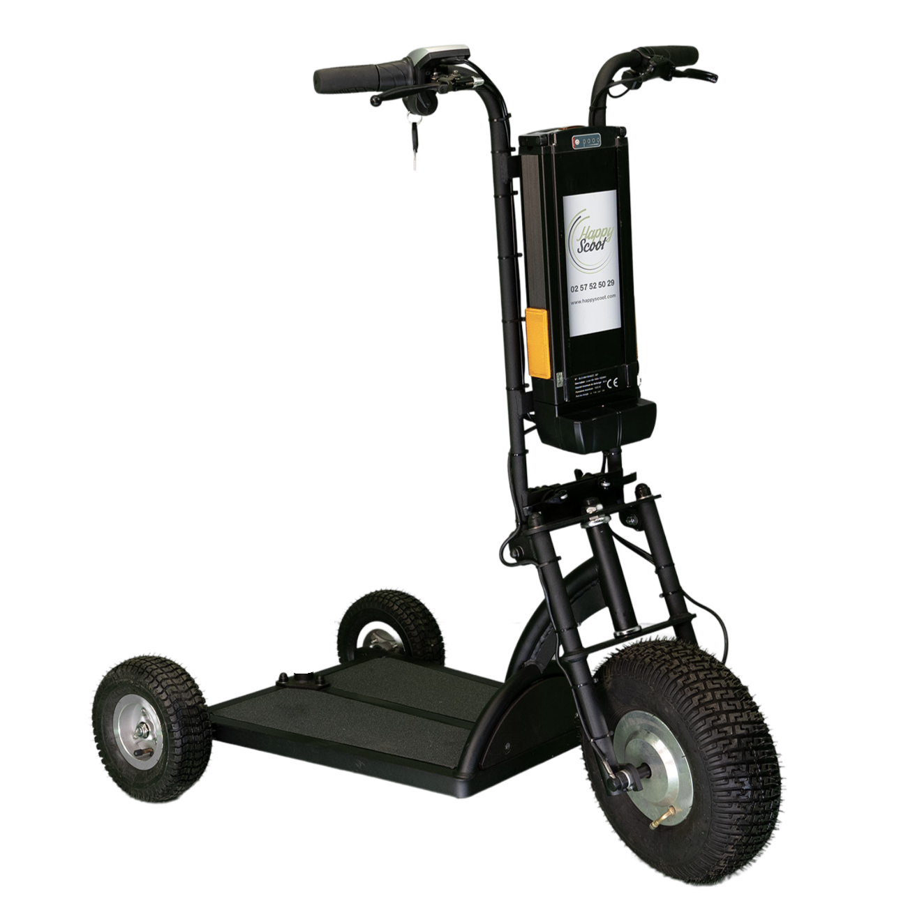 Transporteur personnalisable 3 roues PRO 350W ROLL AND GO